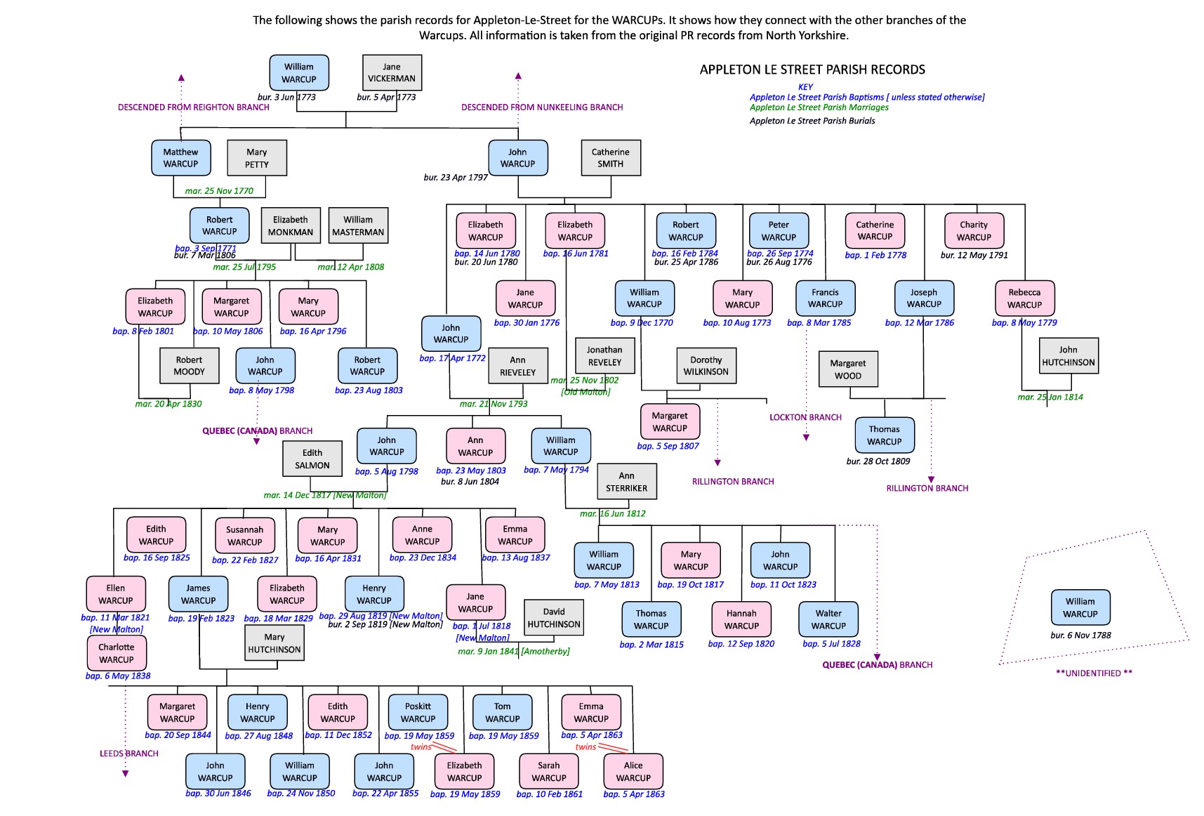 AppletonLeStreetTree