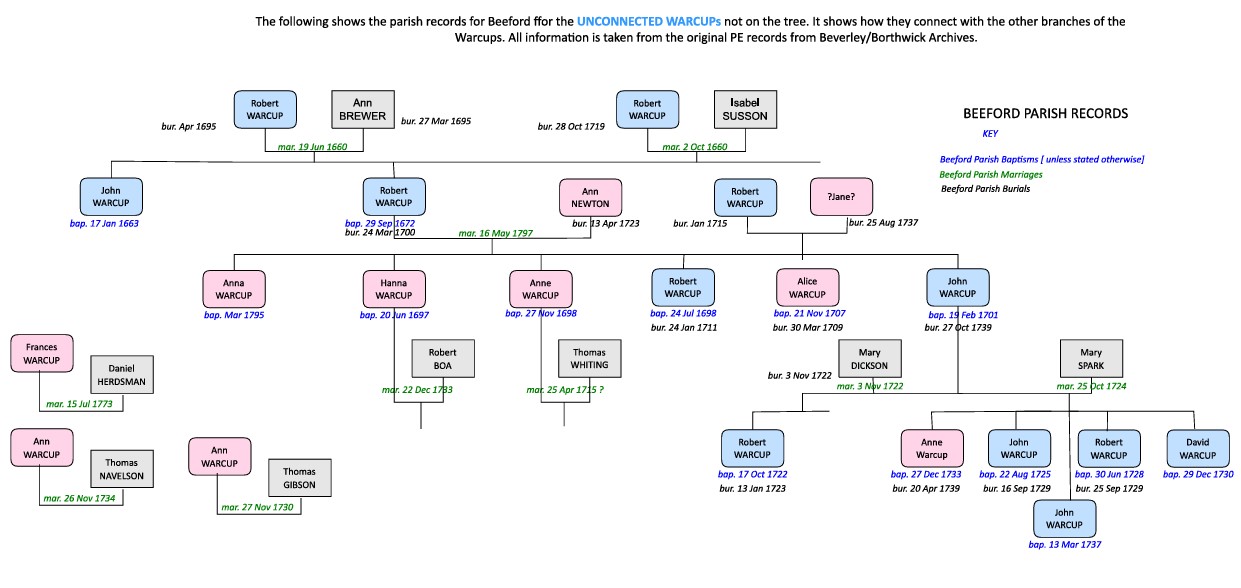 BeefordUnconnectedTree